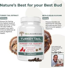 img 2 attached to 🐶 Tail-ored Support for Turkey - Immune-Boosting Dog Multivitamins and Supplements Promoting Gut Health & Wellness - Grain-Free, Gluten-Free, Vet-Approved Canine Supplement (90ct)