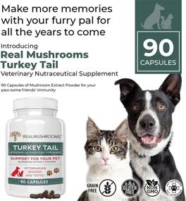 img 3 attached to 🐶 Tail-ored Support for Turkey - Immune-Boosting Dog Multivitamins and Supplements Promoting Gut Health & Wellness - Grain-Free, Gluten-Free, Vet-Approved Canine Supplement (90ct)