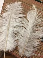 img 1 attached to 50 Pack Of Real White Ostrich Feathers - 16 To 18 Inches (40-45Cm) - Perfect For Christmas, Halloween, Home Parties, And Wedding Centerpieces review by Joel Gardner