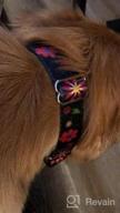 img 1 attached to Dazzber Martingale Collar Floral Print Dog Collar No Pull Pet Collar, Heavy Duty Adjustable Dog Collar, Large, Neck 17 Inch To 25 Inch, Sun Flower (Teal) review by Tammy Finucci