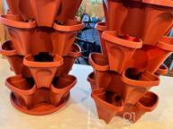 img 1 attached to Maximize Your Strawberry Yield With Mr. Stacky'S 5-Tier Planter Pot - 5 Pots To Grow Even More! review by Joel Briggs