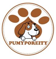 pumyporeity логотип
