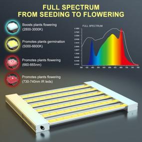 img 3 attached to Phlizon Pro3000: лучший светодиодный светильник полного спектра для выращивания комнатных растений