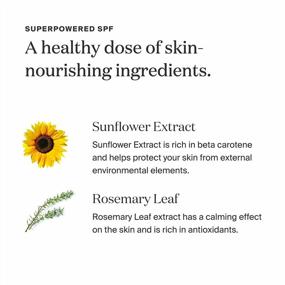 img 1 attached to Supergoop! PLAY Everyday Lotion SPF 30 Sunflower Extract 7.5 Fl Oz