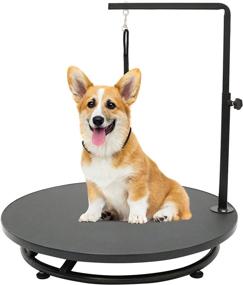 img 4 attached to Kalolary 24-inch Pet Grooming Table with Loop | 360° Rotating Dog Grooming Station | Adjustable Height for Small Dogs | Home Pet Spa Table