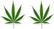 2 full color cannabis leaf decals stickers marijuana pot leaf bong flag vinyl vehicle sticker decals (full color) logo