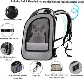 img 1 attached to 🐱 Versatile and Safe Cat Carrier Backpack: Expandable with Safety Strap and Zipper Buckle, Perfect for Small Dogs and Cats, Breathable and Collapsible for Hiking, Camping, and Outdoor Adventures