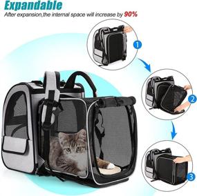 img 2 attached to 🐱 Versatile and Safe Cat Carrier Backpack: Expandable with Safety Strap and Zipper Buckle, Perfect for Small Dogs and Cats, Breathable and Collapsible for Hiking, Camping, and Outdoor Adventures