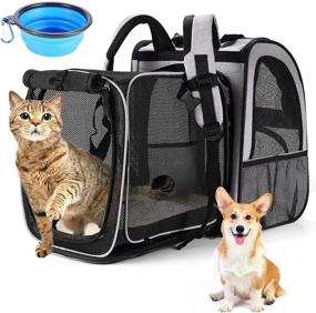 img 4 attached to 🐱 Versatile and Safe Cat Carrier Backpack: Expandable with Safety Strap and Zipper Buckle, Perfect for Small Dogs and Cats, Breathable and Collapsible for Hiking, Camping, and Outdoor Adventures