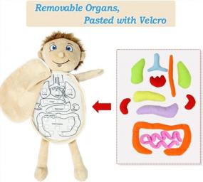 img 2 attached to Explore Anatomy With AIPINQI Early Learning Organ Toys - A Perfect Combination Of Education And Fun!