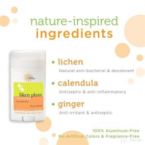 img 3 attached to 🌿 Earth Science Pure & Fragrance-Free Natural Deodorant