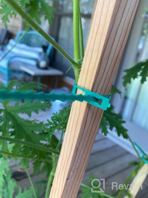 img 1 attached to Secure Your Garden Vines With EuTengHao'S 100-Piece Adjustable Plant Twist Ties review by Dezz Watson