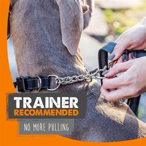 img 3 attached to Mighty Paw Martingale Training Limited Dogs