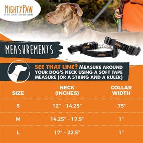 img 2 attached to Mighty Paw Martingale Training Limited Dogs