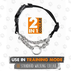 img 1 attached to Mighty Paw Martingale Training Limited Dogs