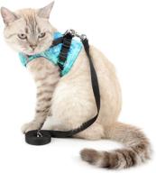 smalllee_lucky_store universal harness tropical adjustable cats logo