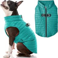 turquoise small puffer vest dog jacket - gooby: ultra thin zip up wind breaker with dual d ring leash - water resistant small dog sweater coat - clothing for small dogs boy or medium dogs logo