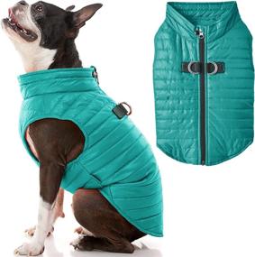 img 4 attached to Turquoise Small Puffer Vest Dog Jacket - Gooby: Ultra Thin Zip Up Wind Breaker with Dual D Ring Leash - Water Resistant Small Dog Sweater Coat - Clothing for Small Dogs Boy or Medium Dogs