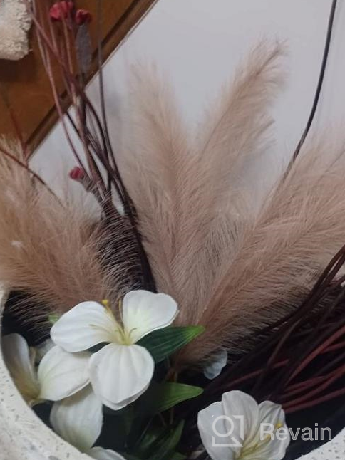 img 1 attached to Add Boho Flair To Your Home With Alishomtll'S 5 Piece 38'' Faux Pampas Grass Bundle! review by Michael Harden