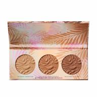 🌞 master the sun-kissed glow with physicians formula murumuru bronzer palette logo