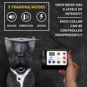 img 1 attached to 🐾 Enhanced Wireless 2-in-1 Dog Fence and Training System for Dual Dogs, Advanced Pet Containment System, Dual Collar Wireless Dog Fence