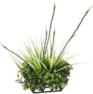 украшение для аквариума fluval boxwood grass логотип