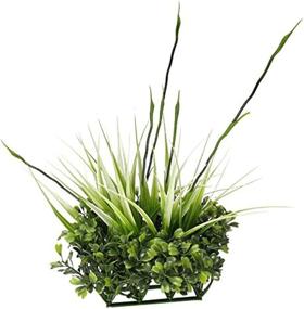 img 1 attached to Украшение для аквариума Fluval Boxwood Grass