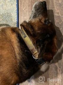 img 5 attached to Teal Embroidered Personalized Dog Collar With Name And Phone Number For Large Dogs - Joytale Reflective Custom Collar