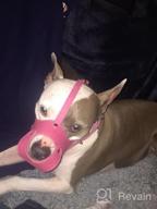 img 1 attached to Genuine Leather Basket Muzzle For Pitbulls And Staffordshire Terriers In Black By CollarDirect review by Jordan Perez