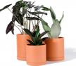 set of 3 potey terracotta planters with drainage hole and saucer - 6 inch, 5 inch, and 4 inch cylindrical indoor flower containers - unglazed clay pots perfect for plants - model number 222231 logo