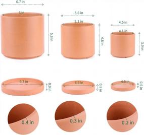 img 3 attached to Set Of 3 POTEY Terracotta Planters With Drainage Hole And Saucer - 6 Inch, 5 Inch, And 4 Inch Cylindrical Indoor Flower Containers - Unglazed Clay Pots Perfect For Plants - Model Number 222231
