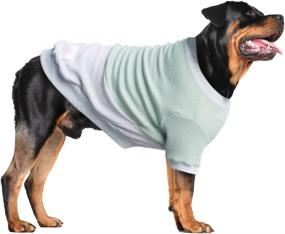 img 4 attached to 🐶 ARUNNERS Large Breed Dog Sweater - Warm Color Matching Pullover for Labrador & Golden Retrievers, Green/Grey, 5XL