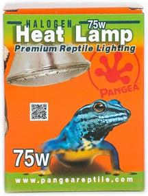 img 1 attached to Pangea Halogen Heat Lamp Reptiles Reptiles & Amphibians