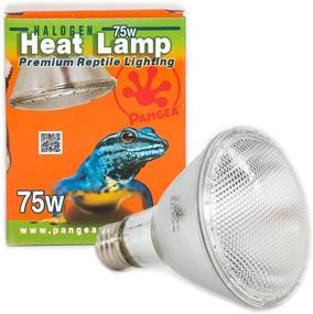 img 4 attached to Pangea Halogen Heat Lamp Reptiles Reptiles & Amphibians