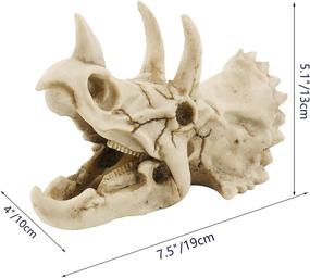 img 3 attached to 🦕 PetierWeit Resin Triceratops Skull Decoration: Premium Dinosaur Hideout for Aquariums, Reptile Shelters, and Fish Tanks