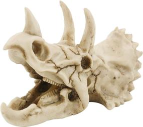 img 4 attached to 🦕 PetierWeit Resin Triceratops Skull Decoration: Premium Dinosaur Hideout for Aquariums, Reptile Shelters, and Fish Tanks