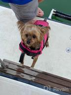 картинка 1 прикреплена к отзыву Большой розовый спасательный жилет для собак Surblue: безопасность домашних животных для плавания, катания на лодках и пляжных прогулок от George Marquez