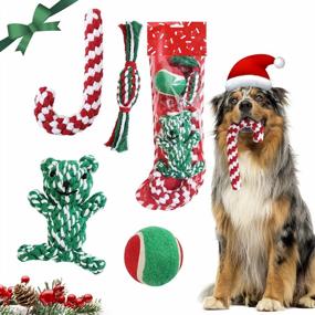 img 4 attached to Christmas Dog Chew Toys Set For Puppy Teething & Training – Lewondr 4 Pack Rope Toy Gift In Stocking, Candy Cane Interactive Ball Toys For Small Medium Large Dogs.