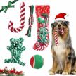 christmas dog chew toys set for puppy teething & training – lewondr 4 pack rope toy gift in stocking, candy cane interactive ball toys for small medium large dogs. logo