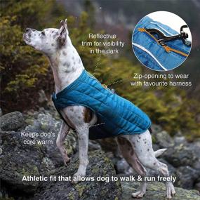 img 2 attached to 🐶 Reversible Dog Winter Coat with Harness Compatibility - Kurgo Loft Jacket Dog Coat - Reflective Accents - Ideal Winter Dog Coat for Hiking - Suitable for Small, Medium, and Large Dogs