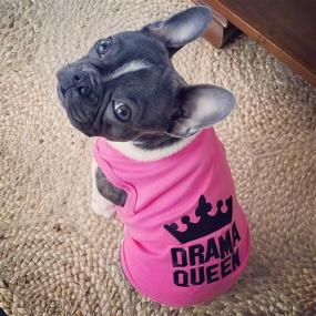 img 2 attached to 👑 XL Drama Queen Embroidered T-Shirt - Parisian Pet Dog Cat Clothes Tee Shirts