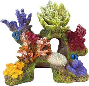 img 4 attached to 🌊 Danmu Polyresin Coral Ornaments: Vibrant Decor for Fish Tanks - 6 3/5" x 3 7/10" x 5 1/2