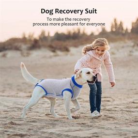 img 3 attached to Professional Anti Licking Alternative Abdominal Protector Dogs - Apparel & Accessories