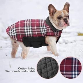 img 2 attached to 🐶 IREENUO Dog Jacket: Reversible Warm Coat for Fall & Winter, Padded Puppy Jacket for Small & Medium Dogs