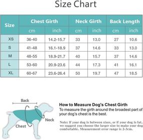 img 3 attached to 🐶 IREENUO Dog Jacket: Reversible Warm Coat for Fall & Winter, Padded Puppy Jacket for Small & Medium Dogs