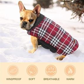 img 1 attached to 🐶 IREENUO Dog Jacket: Reversible Warm Coat for Fall & Winter, Padded Puppy Jacket for Small & Medium Dogs