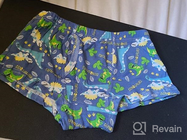 img 1 attached to 🩲 Children's 6-Pack Bulk Boxer Briefs & Hipster Briefs, 100% Cotton, Series for Boys Ages 2-8 Years review by Dink Rivas