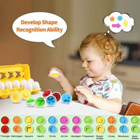 img 1 attached to CPSYUB Montessori Matching Eggs: Educational Learning Toys For 1-3 Year Old Boys And Girls With Color & Shape Recognition Skills; BPA-Free Easter Eggs Gifts (Set Of 12 Toddler Toys)