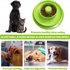 img 1 attached to ESALINK Double Layer Slow Feeder Dog Bowl For Puppy & Cat - Durable Pet Food Dishes To Prevent Bloating, Choking & Promote Healthy Eating Habits (Green)