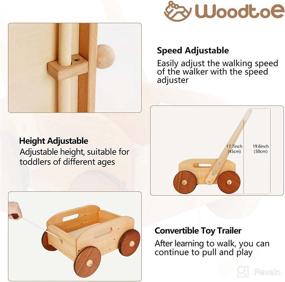 img 1 attached to 🚶 Woodtoe Wooden Baby Walker: Adjustable Speed Push Toy for Babies Learning to Walk | Natural Wood Push and Pull Learning Walking Educational Toy Gift for Toddler Boy/Girl, 1-3 Years (Patent Protected)